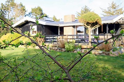 4 Personen Ferienhaus in Hurup Thy-By Traum