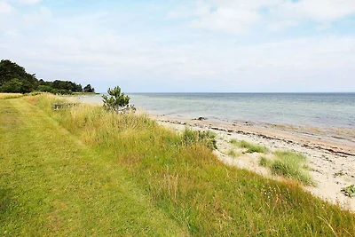 8 Personen Ferienhaus in Asnæs-By Traum