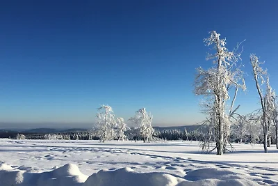 Dom wakacyjny Friedy w Olsberg-Bruchhausen