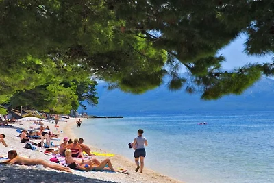 Panorama Suite With Private Bathroom