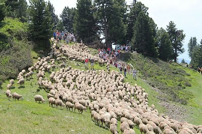 Charmante Wohnung in Chamrousse