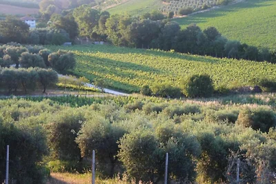 Ferme près de l'Adriatique avec piscine