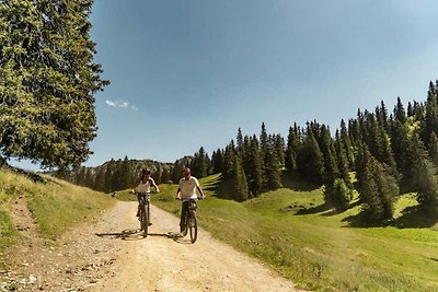 Appartement voor 5 personen in Chatel