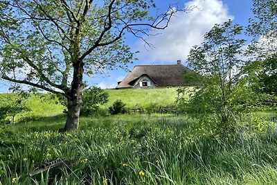 Tetenbüllspieker