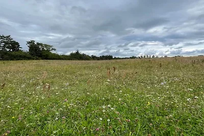 8 Personen Ferienhaus in Melby