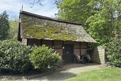 Vakantiehuis in Kirchdorf met manege.