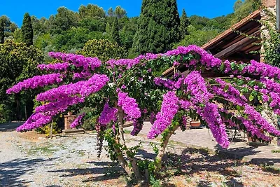 Villa in Suvereto mit Schwimmbecken