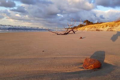 Komfortable Ferienhäuser am Meer, Sarbinowo