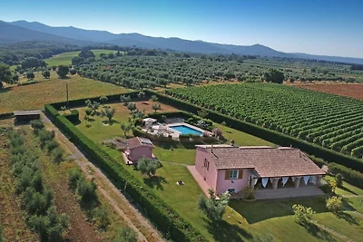 Villa Casa Ulivino