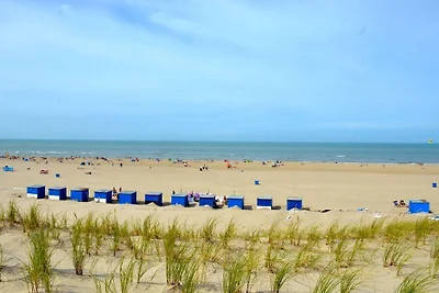 Achter de Duinen||Castricum