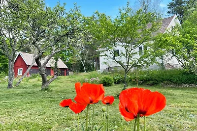 4 persoons vakantie huis in ASARUM