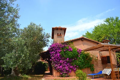 Comoda casa vacanze con giardino