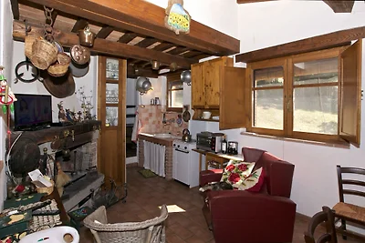Ferienhaus in Seggiano mit Wald
