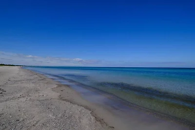 14 Personen Ferienhaus in Væggerløse-By Traum