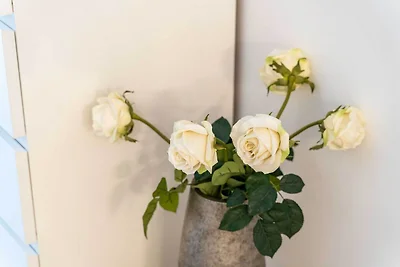 Apartment Lenka - Studio Apartment with...