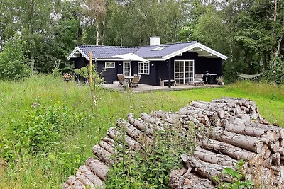 6 persoons vakantie huis in Jerup