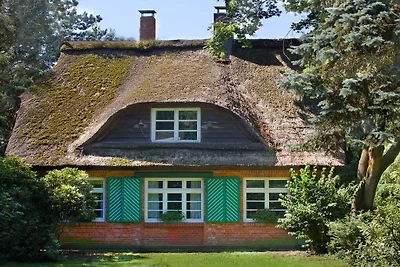 Ferienhaus in Essel mit Schwimmbecken