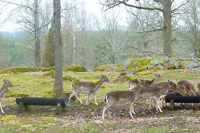 6 Personen Ferienhaus in Pauliström-By Traum