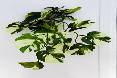 Camera accogliente in un accogliente appartam...