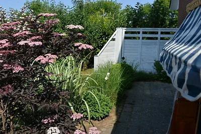 Ferienhaus in Ückeritz mit Schwimmbecken