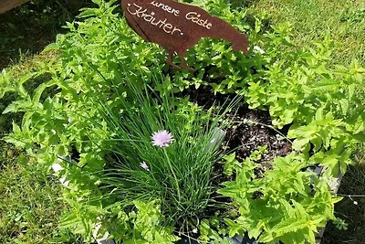 Vakantieappartement met 2 slaapkamers