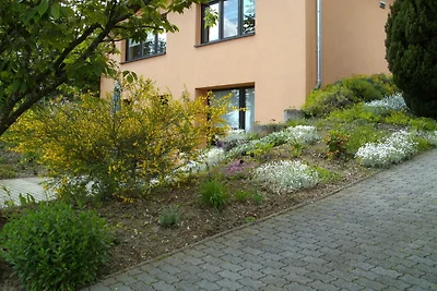 Ferienhaus in Olsdorf