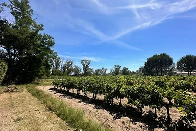 Bauernhaus in Aigues-Mortes am Strand