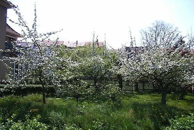 Alices Ferienwohnung 1