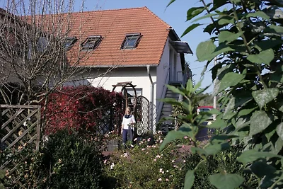 Ferienwohnung im Luckaitztal Gosda