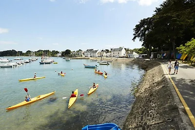 Wohnung in Sarzeau in der Nähe des Hafens von...