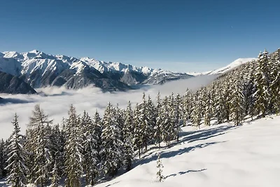 Chalet in Neukirchen an Wildkogel-Pisten