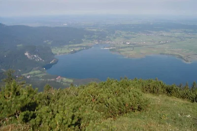 Melf "Sommerlinde"