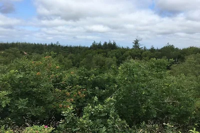 4 persoons vakantie huis in Oksbøl-By Traum