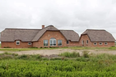 4 Sterne Ferienhaus in Ulfborg