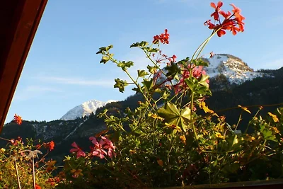 Sina im Haus Irmgard