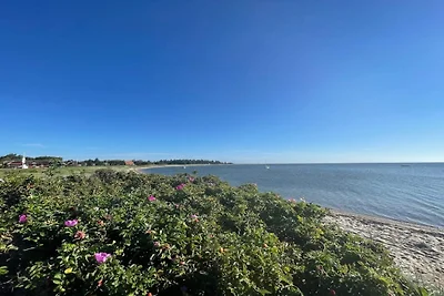 6 Personen Ferienhaus in Lemvig