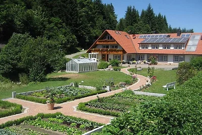 Hetzlenmühle 3-kamerappartement nr. 2