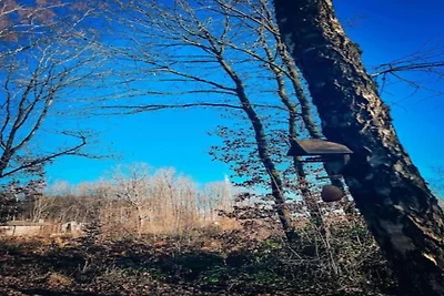 Gemütliches Holzchalet im Wald, mit...
