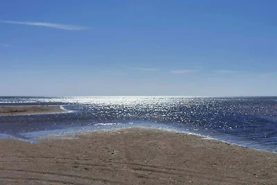 8 Personen Ferienhaus in Ålbæk-By Traum