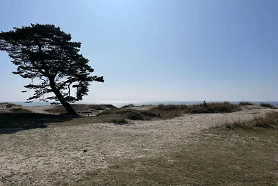 5 Sterne Ferienhaus in YSTAD