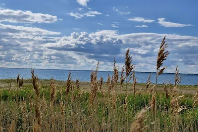4 Sterne Ferienhaus in Assens