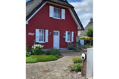 Vakantiehuis in Zierow met zwembad
