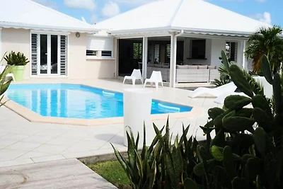 Villa sull'albero del viaggiatore