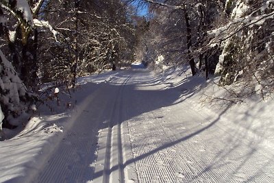 Ferienhaus in der Nähe des Skilifts