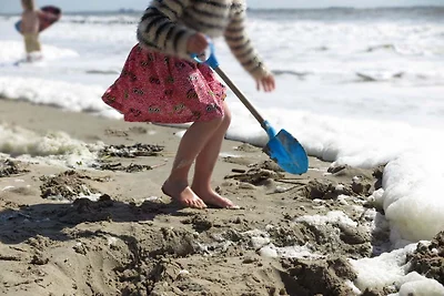 Casa spiaggia unica sulla spiaggia di Dishoek