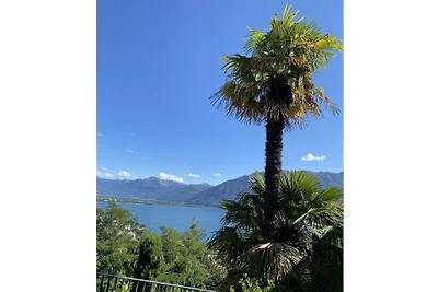 Condominio Andromeda Locarno Monti