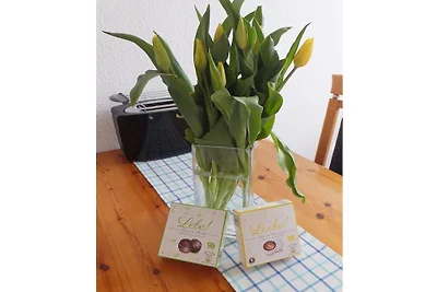 Seenest 3 Zi Wohnung