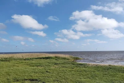 2 Personen Ferienhaus in Ringkøbing-By Traum