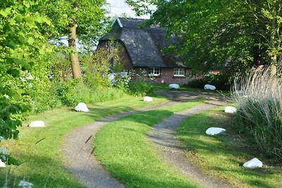 Reetdachkate Sillenserwisch