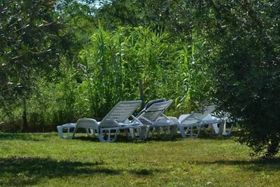 House in Nature - House